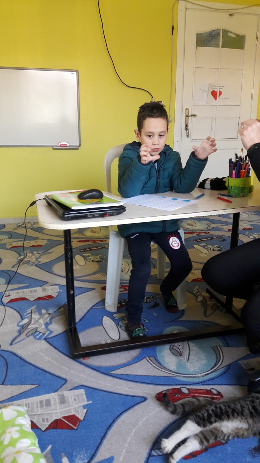 Osmaniye Şirinler Özel Eğitim